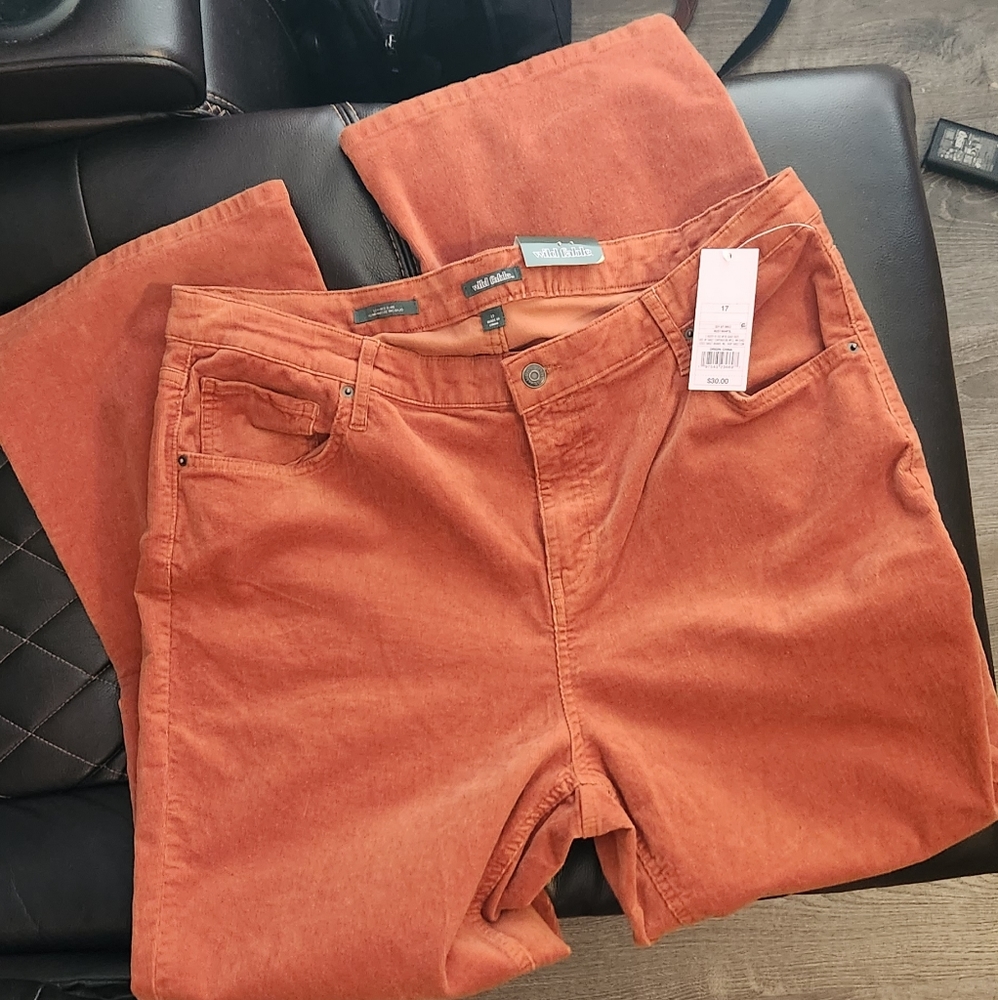 Wild Fable Low Rise Flare Soft Corduroy Pants